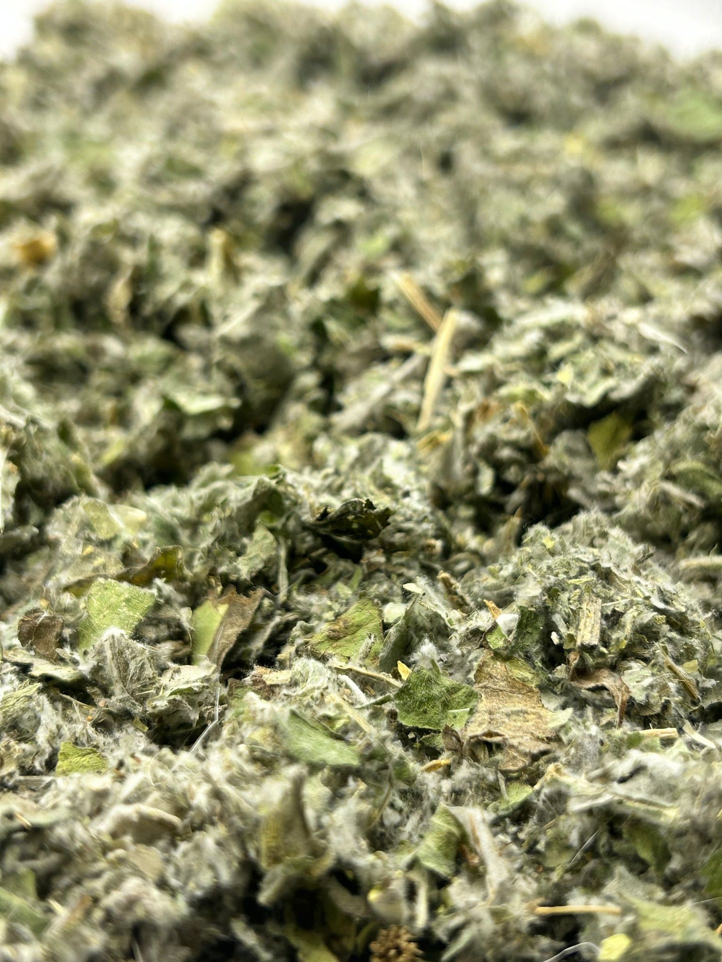 Artichoke leaves Promopharma
