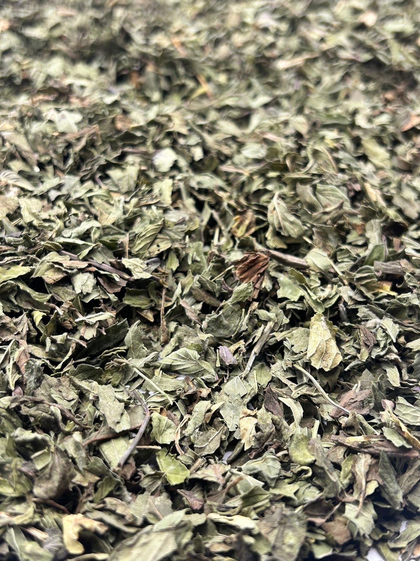 Peppermint leaves Promopharma