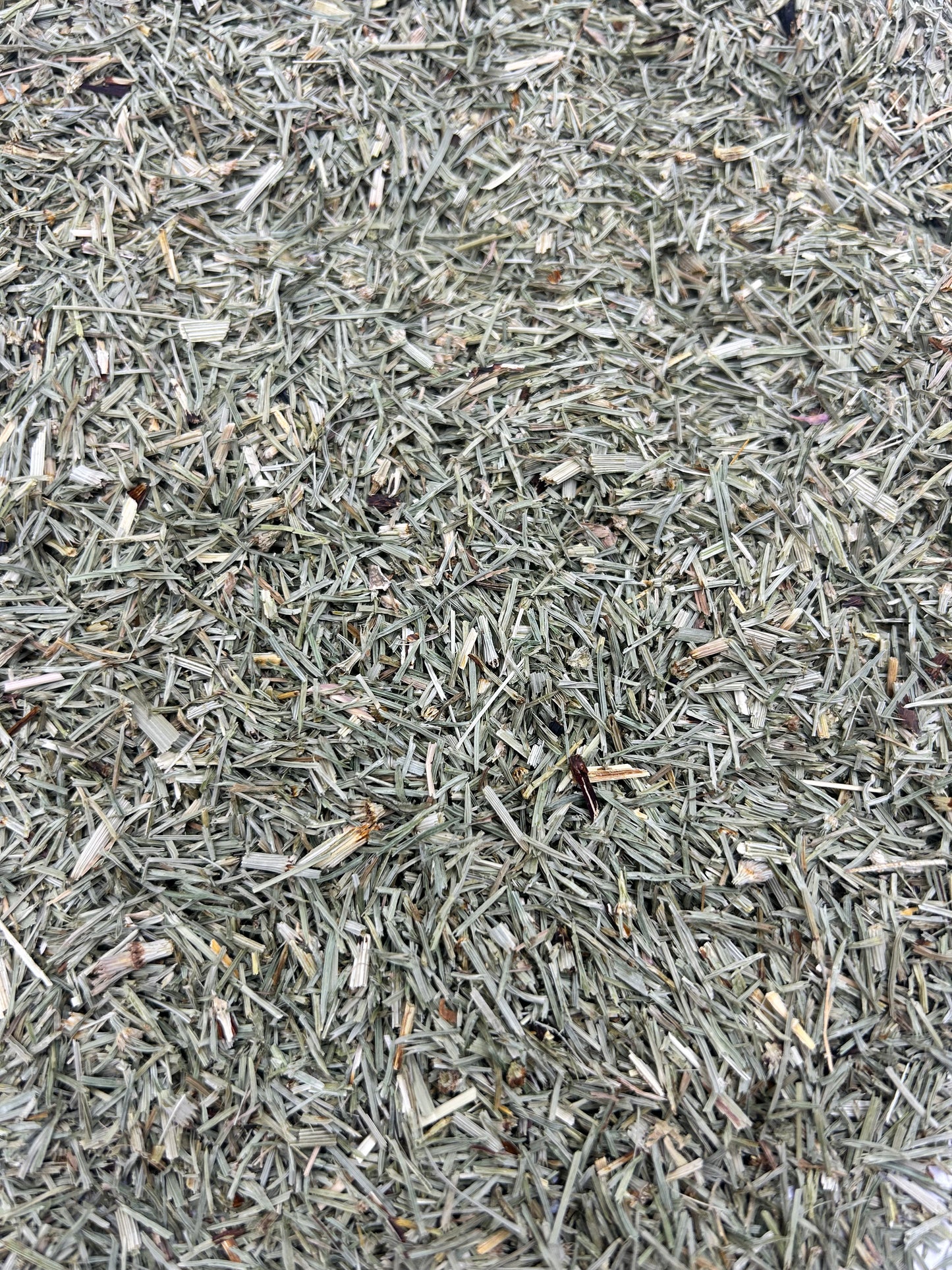 Promopharma horsetail