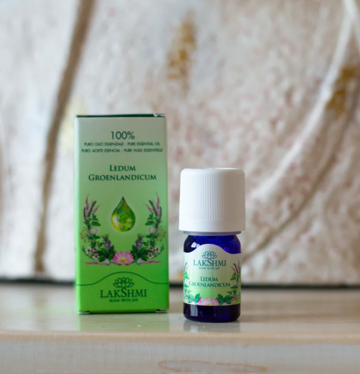 Estragon Essential Oil