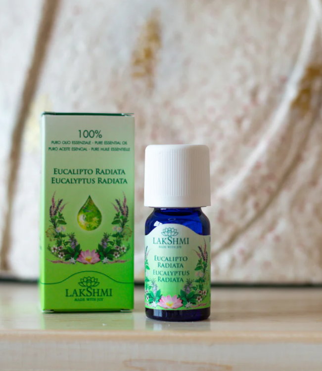 Olio essenziale Eucalipto Radiata