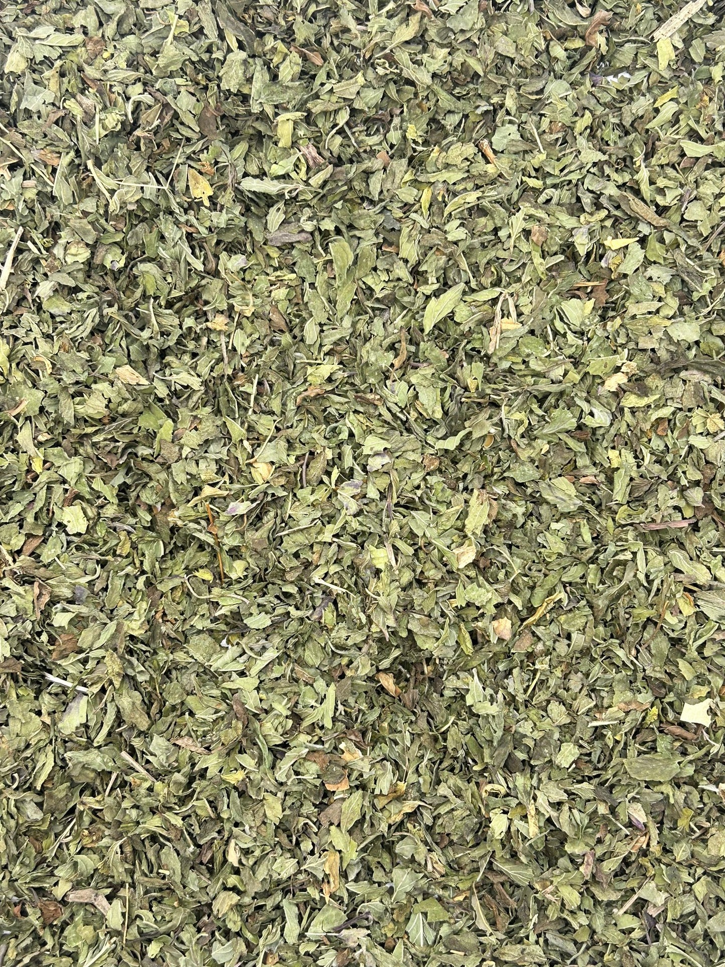 Peppermint leaves Promopharma