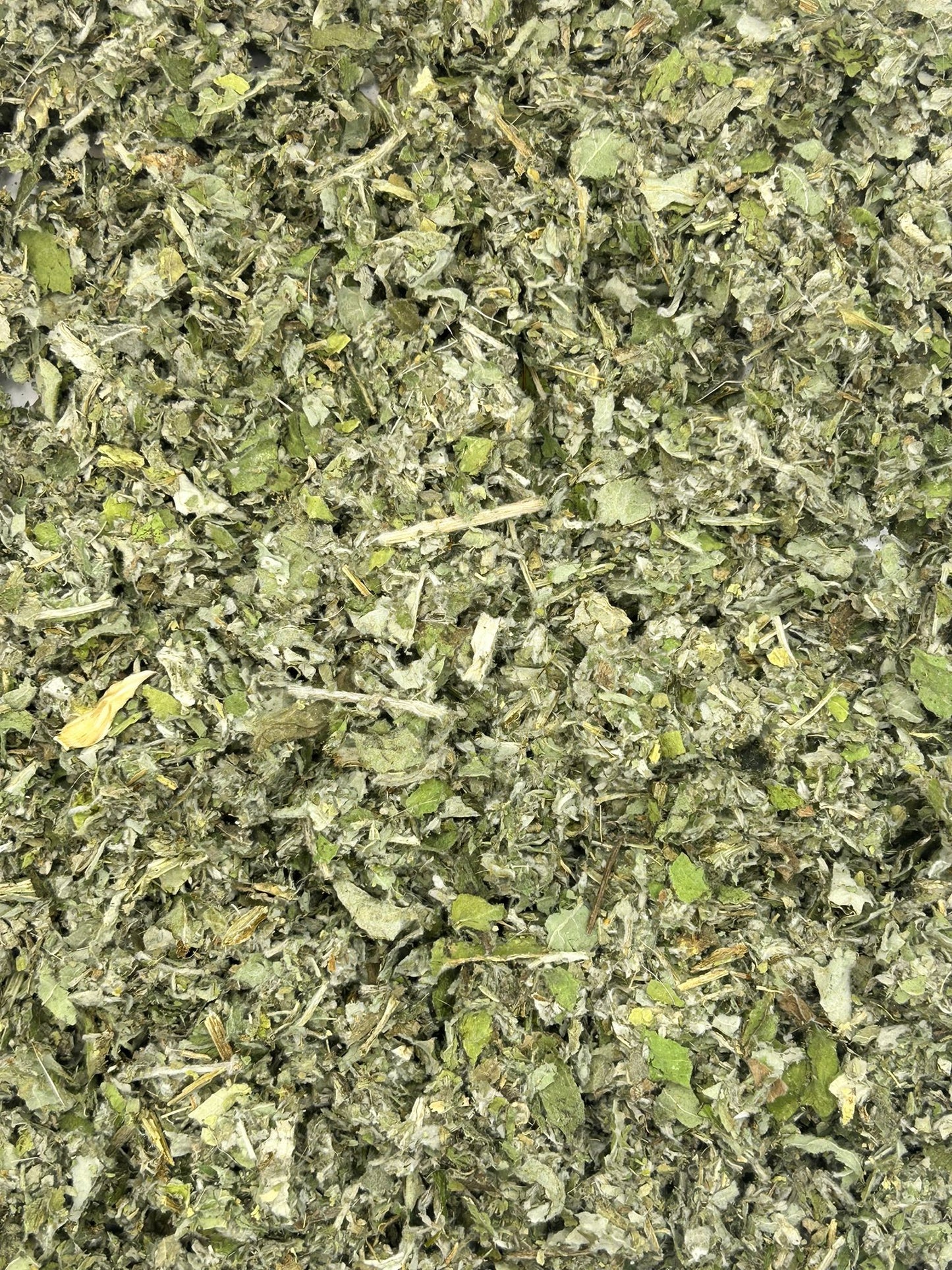 Artichoke leaves Promopharma