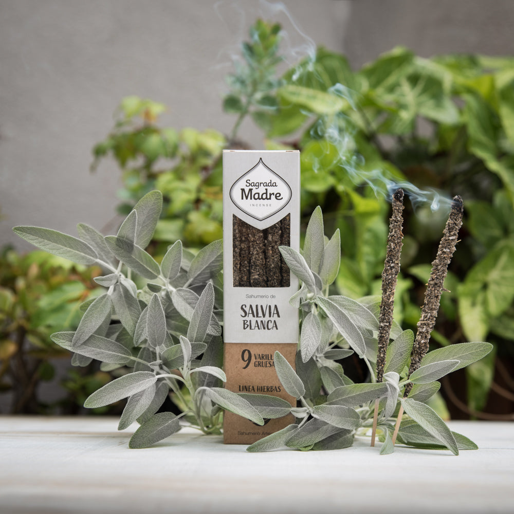White sage natural incense