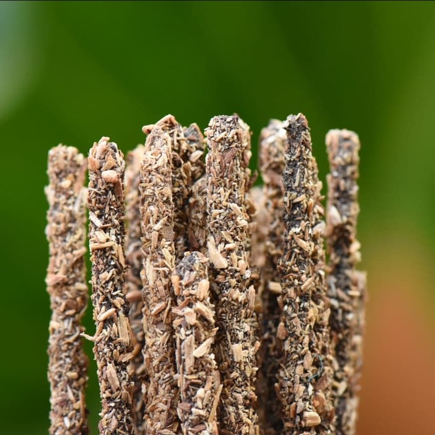 Palo santo incense 