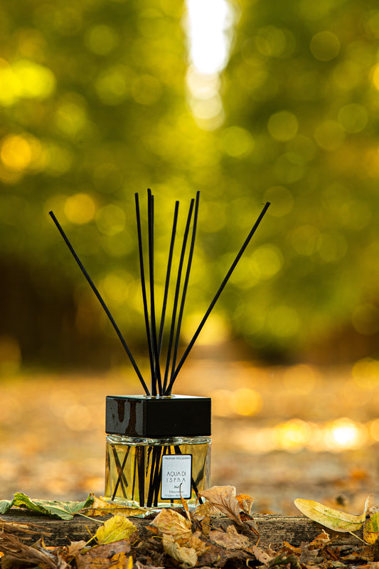 Aqua di Ispra in Bottles Black Line 